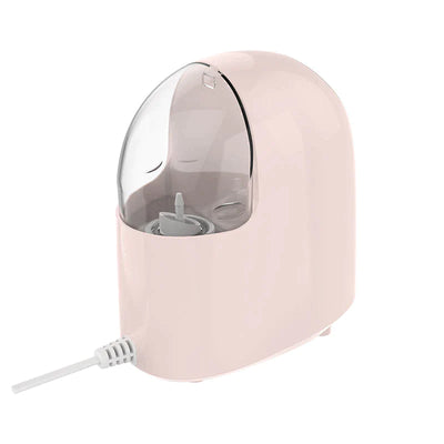 Face Steamer