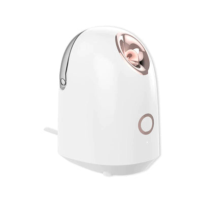 Face Steamer