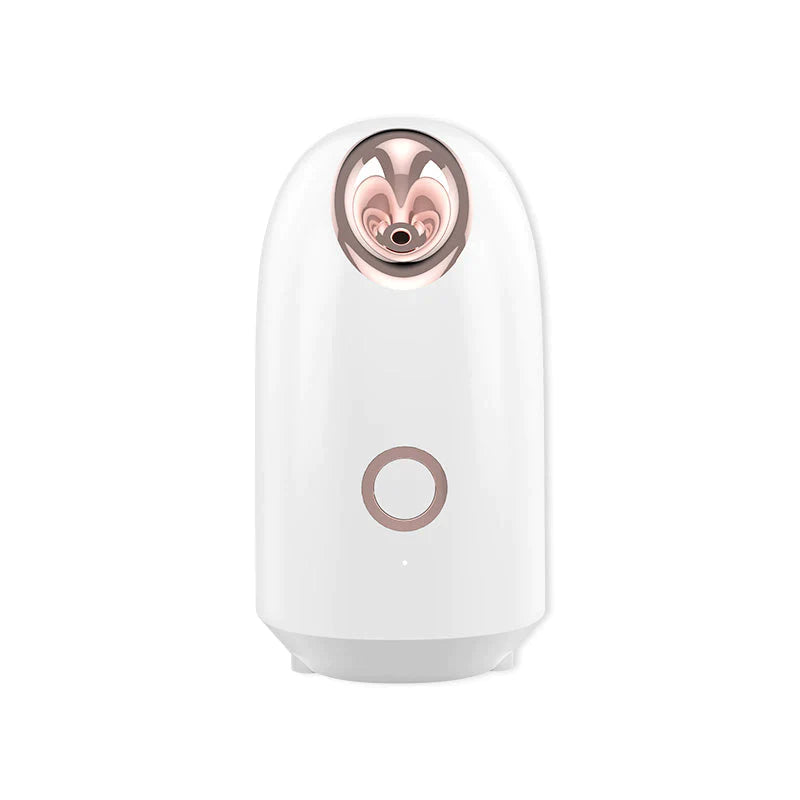 Face Steamer